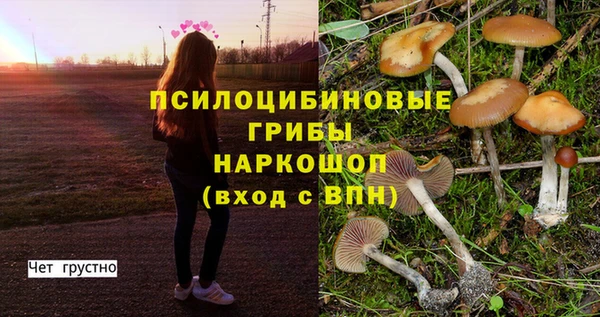 spice Костерёво