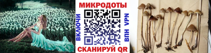 Псилоцибиновые грибы MAGIC MUSHROOMS  Купить закладки  Лыткарино 